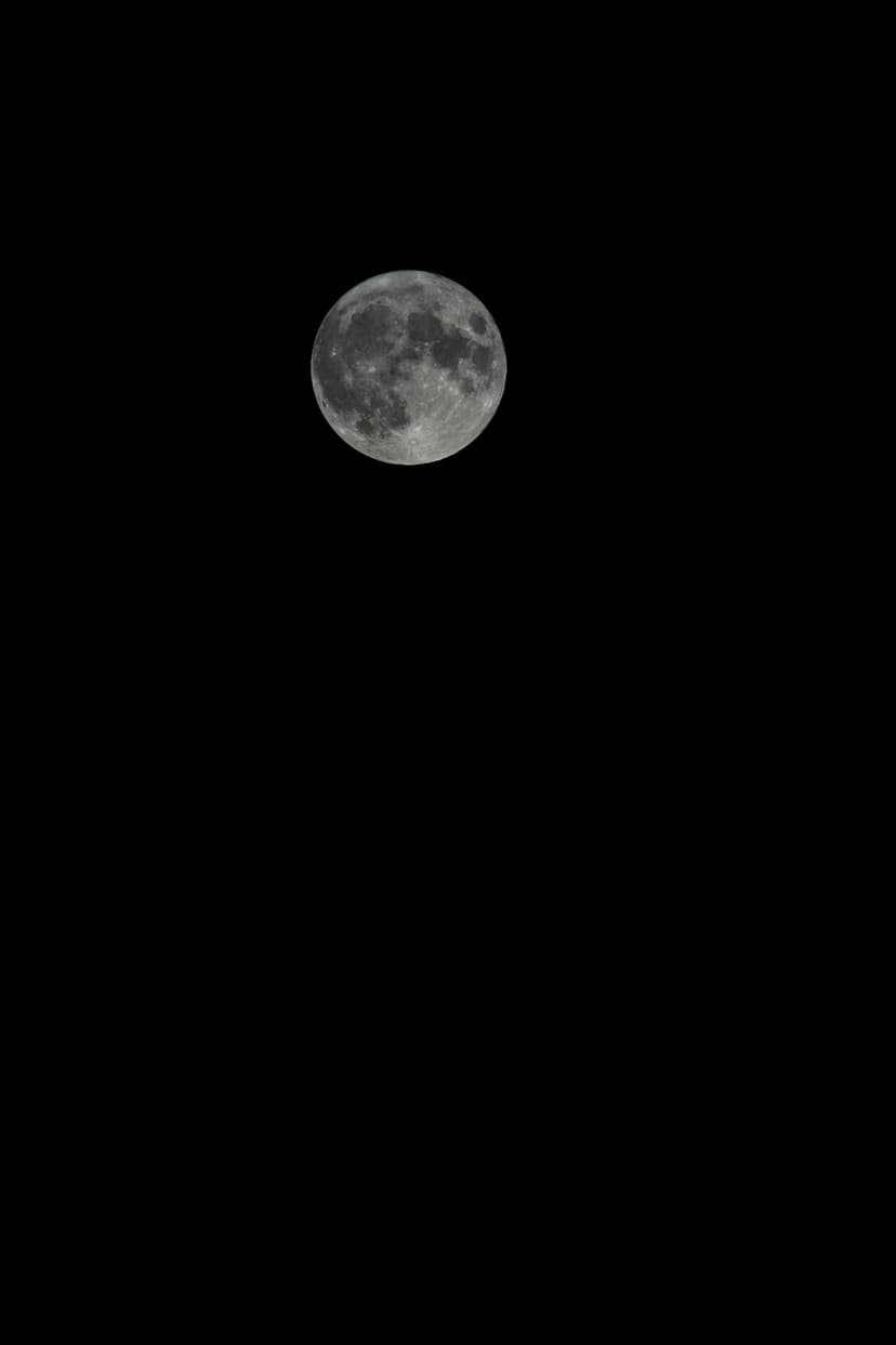 Flower Full Moon